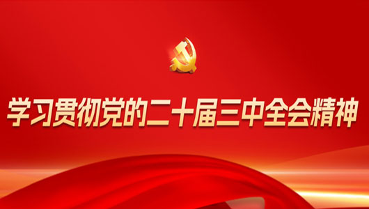 “学习贯彻党的二十届三中全会精神”专栏